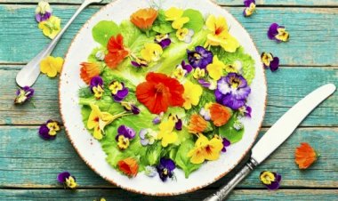 Съедобные цветы, которые вы можете вырастить даже дома