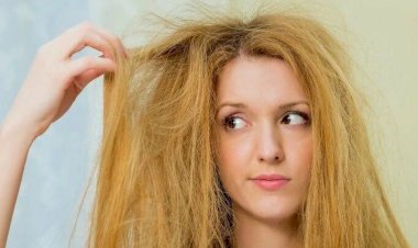 8 явных признаков того, что вашим волосам нужна помощь