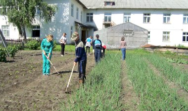 В память об «огородной повинности», которую ученики когда-то отрабатывали на приусадебных участках своих школ. А была ли польза?
