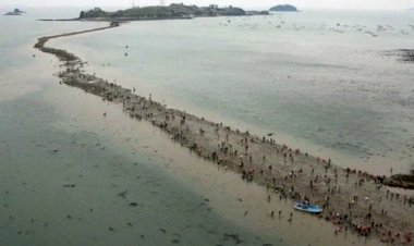 «И расступились воды перед сынами Израилевыми…». Миф или реальное явление описано в Библии