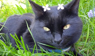 Что творится с современными людьми? Неужели все резко очерствели?