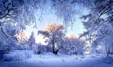 Вот такая красота Зимой. часть 1