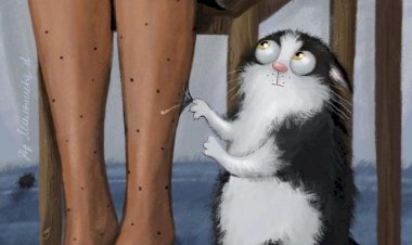 О чём нужно знать прежде, чем завести домашнего питомца