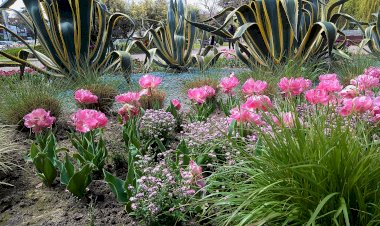 пешеходные экскурсии по Сочи-с автором книги "Бродилки по Сочи"