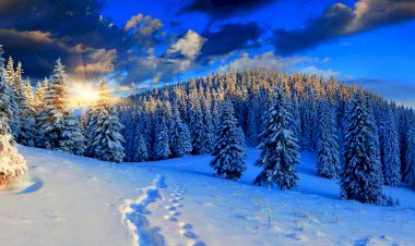 Вот такая красота Зимой. часть 2