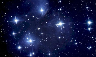 Кто такая ЗВЕЗДА?!(известный человек,в любом жанре)