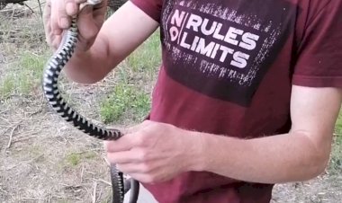 Поймал вместо рыбы.