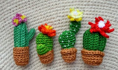 Вязанная брошь крючком в виде кактуса