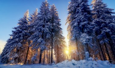 Вот такая красота Зимой. часть 3