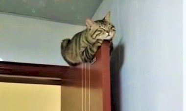 Скалолазы — настроение