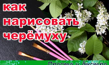 КАК НАРИСОВАТЬ черёмуху быстро и красиво.mp4