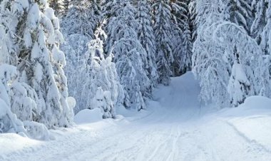 Вот такая красота Зимой. часть 4