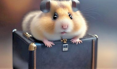 Курс биткоина. События на блокчейне Zilliqa