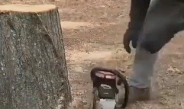 Вот как надо быстро и без остатка убирать пни!