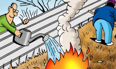 За что платим? 10 правил для деревни, за несоблюдение которых можно нарваться на штраф