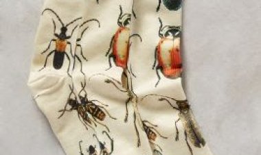 Мои носки сильно раздражают коллег на работе