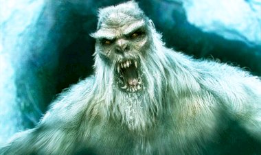 «Снежный человек» – предок человека?