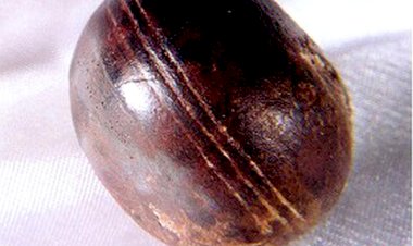 Чтобы не пропустить новые публикации канала, подписывайтесь на нашу страницу в Телеграм. Там мы публикуем всё самое необычное, таинственное и загадочное.