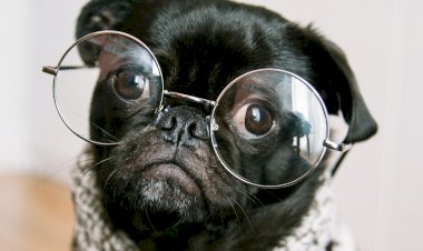 Тест на кругозор: Получится ли у вас ответить на 10 вопросов не допуская ошибок?