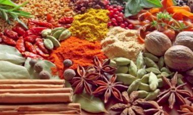 Волшебный мир специй