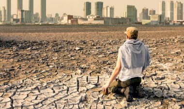 Засуха в Европе: фермеры бьют тревогу