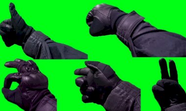 ЖЕСТЫ ХРОМАКЕЙ