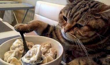 Какие привычки помогут быстрее закрыть все долги