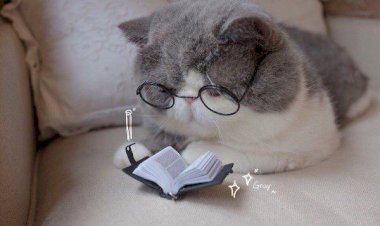 Простая методика для запоминания 1000 иностранных слов за месяц