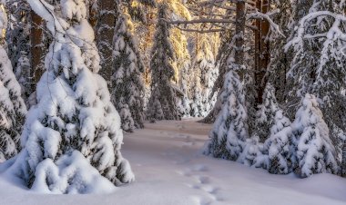 Вот такая красота Зимой. часть 7