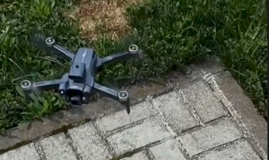 Собака чуть не съела квадрокоптер