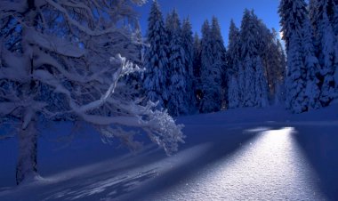 Вот такая красота Зимой. часть 8