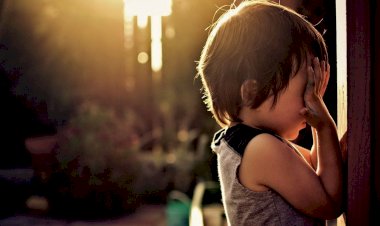 Как работает обида