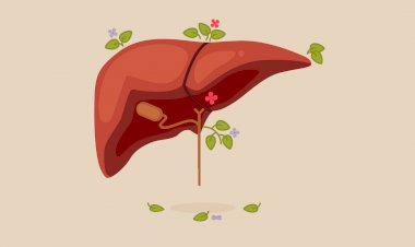 7 продуктов, полезных для печени