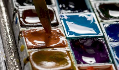 Волшебство на холсте или факты о искусстве, которые стоит узнать