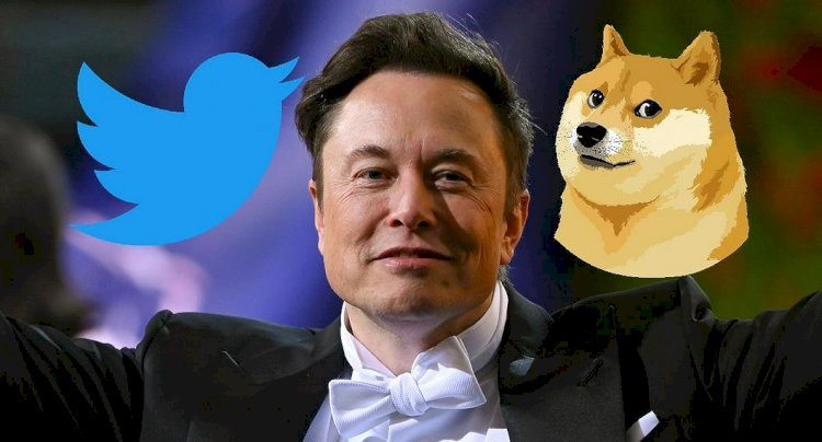 Почему Илон Маск изменил логотип Twitter?