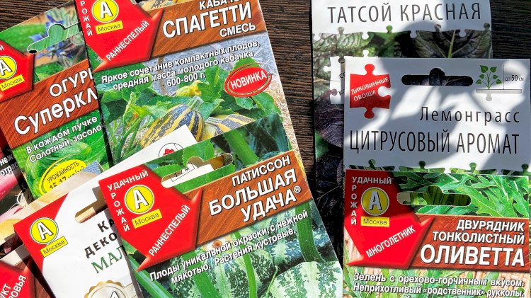 Покупаем семена. Пятёрка овощей и зеленных, которые не часто встретишь на участках россиян