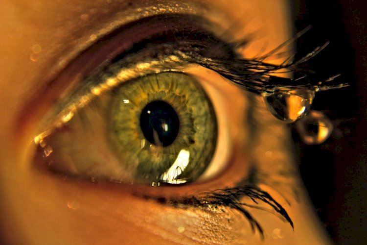 Как расслабить глаза и почему это необходимо для их здоровья, а также кожи век