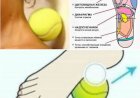 Как избавиться от болей и стресса с помощью теннисного мячика