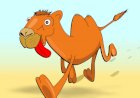 Докажи, что не верблюд