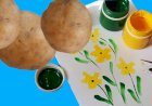 Рисование картошкой/ рисуем с детьми