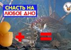 Оснастка на карася для любого типа дна: ил, песок, камни