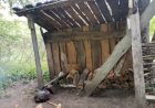 В Тамбовской лесу на отдыхе