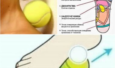 Как избавиться от болей и стресса с помощью теннисного мячика