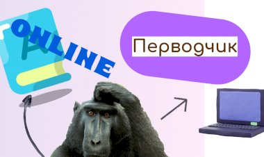 Два хороших переводчика и инструкция для проверки перевода