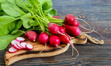 Ошибки в выращивании редиса