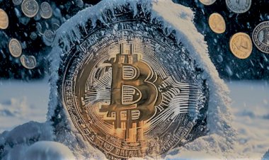 Курс биткоина.  Спор на миллион долларов. Близок ли конец криптозимы