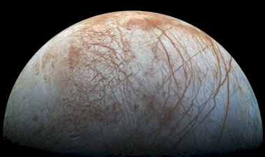 Чем Европа похожа на Гренландию?