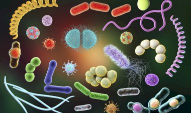 Удивительные факты, которые перевернут ваш взгляд на мир, от пользователей Reddit