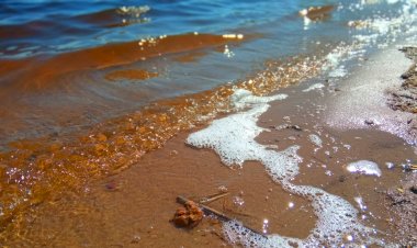 Шум прибоя речной волны. Звуку природы для сна и релакса