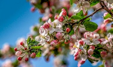 Вот такая красота)